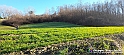 20230110_143718 - Dalla terra... il grano